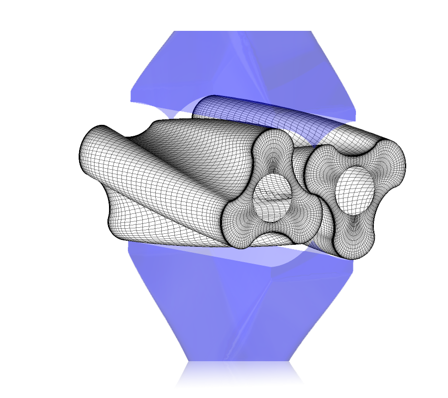 3D meshes of rotors for rotary lobe pumps